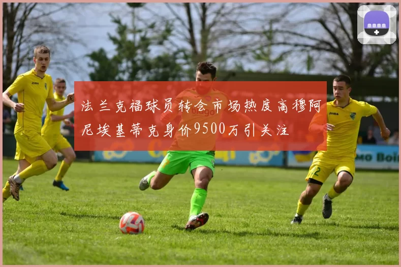 法兰克福球员转会市场热度高穆阿尼埃基蒂克身价9500万引关注