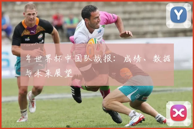 年世界杯中国队战报:成绩、数据与未来展望