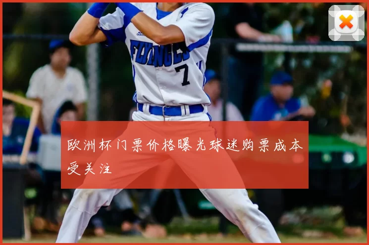 欧洲杯门票价格曝光球迷购票成本受关注