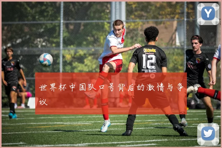 世界杯中国队口号背后的激情与争议