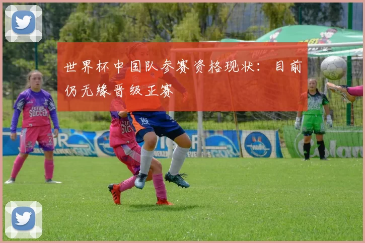 世界杯中国队参赛资格现状:目前仍无缘晋级正赛