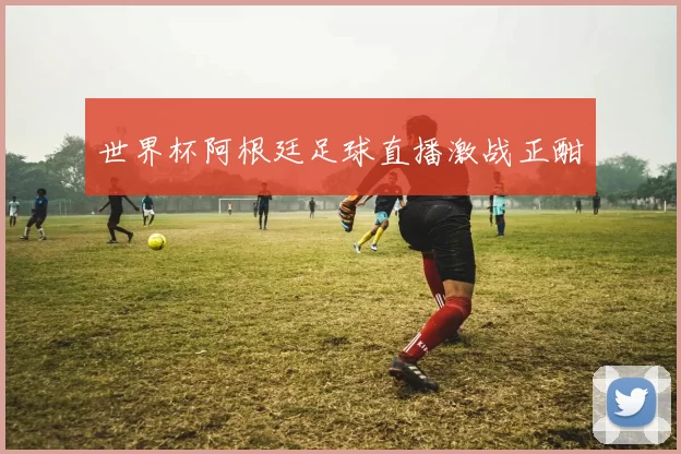 世界杯阿根廷足球直播激战正酣