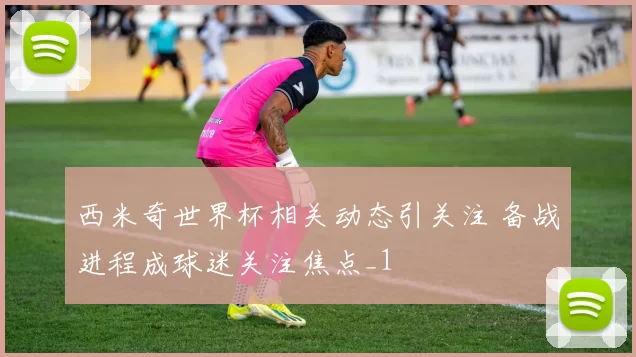 西米奇世界杯相关动态引关注 备战进程成球迷关注焦点_1