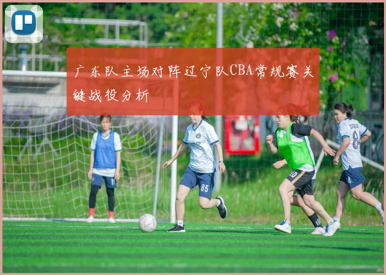 广东队主场对阵辽宁队CBA常规赛关键战役分析