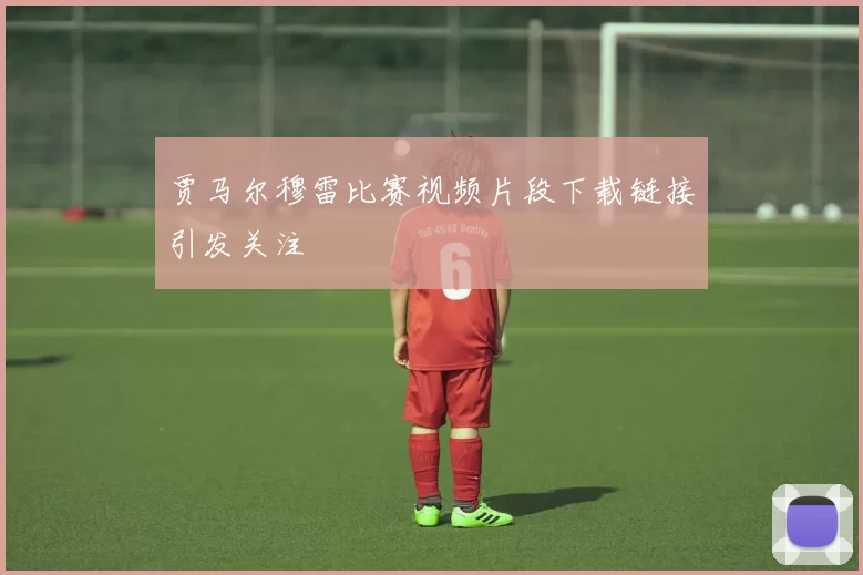 贾马尔穆雷比赛视频片段下载链接引发关注