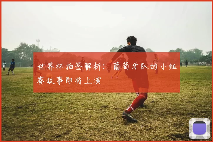 世界杯抽签解析：葡萄牙队的小组赛故事即将上演
