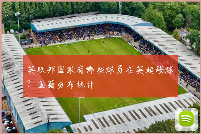 英联邦国家有哪些球员在英超踢球?国籍分布统计