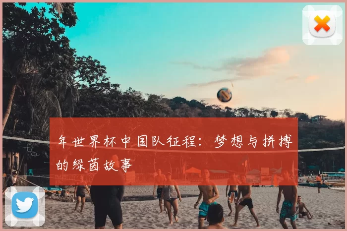 年世界杯中国队征程:梦想与拼搏的绿茵故事