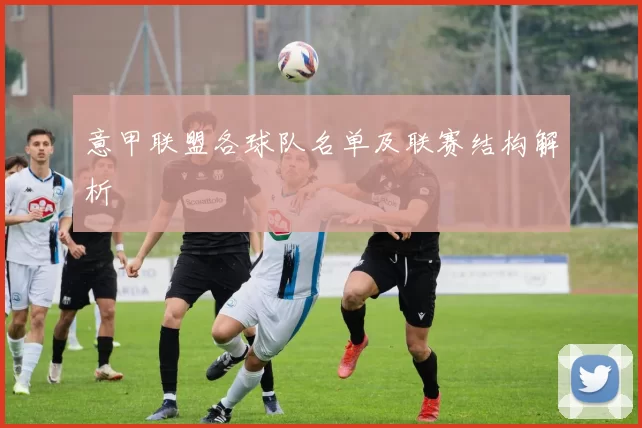 意甲联盟各球队名单及联赛结构解析