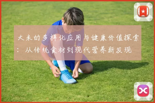 大米的多样化应用与健康价值探索:从传统食材到现代营养新发现