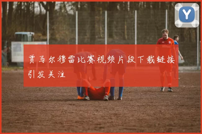 贾马尔穆雷比赛视频片段下载链接引发关注