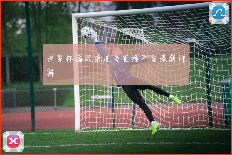 世界杯播放渠道与直播平台最新详解