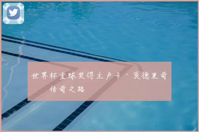 世界杯金球奖得主卢卡·莫德里奇：传奇之路