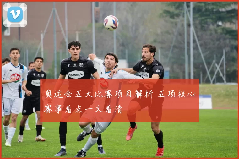 奥运会五大比赛项目解析 五项核心赛事看点一文看清