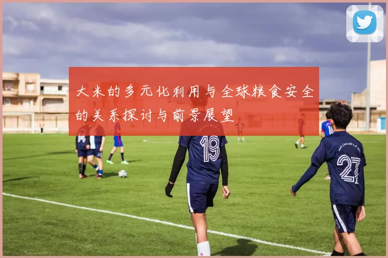 大米的多元化利用与全球粮食安全的关系探讨与前景展望