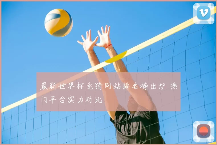 最新世界杯竞猜网站排名榜出炉 热门平台实力对比