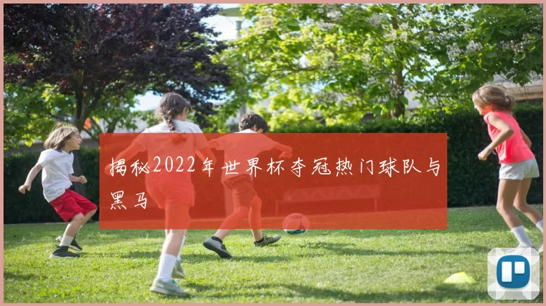揭秘2022年世界杯夺冠热门球队与黑马