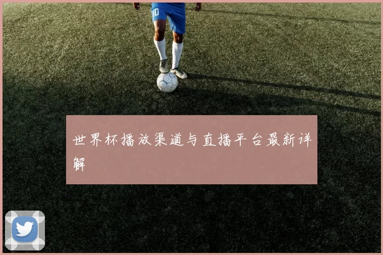 世界杯播放渠道与直播平台最新详解