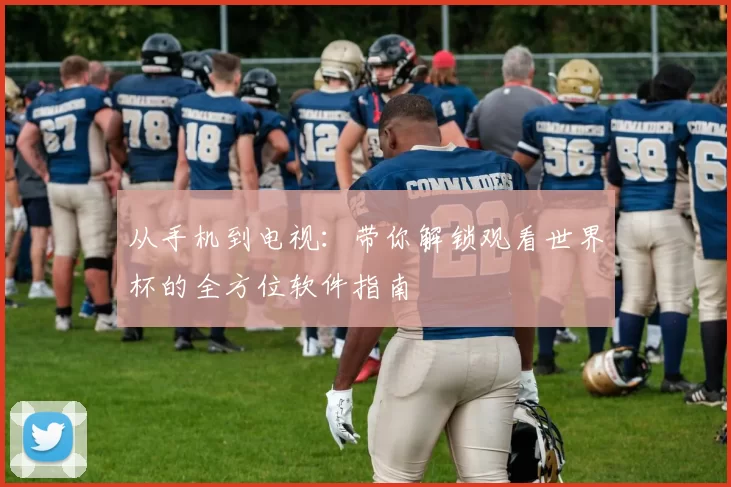 从手机到电视：带你解锁观看世界杯的全方位软件指南