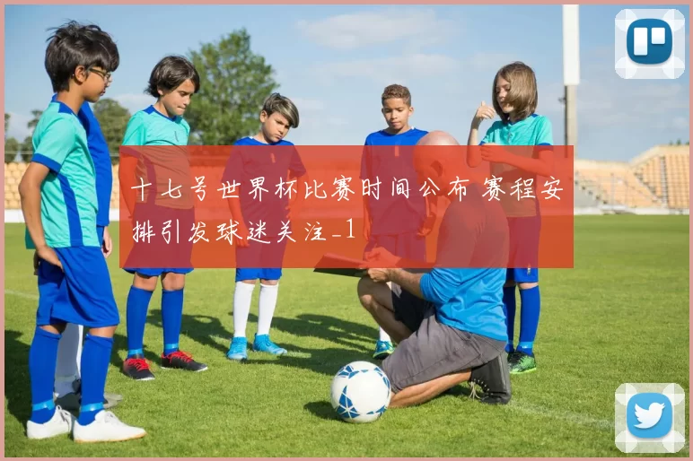 十七号世界杯比赛时间公布 赛程安排引发球迷关注_1