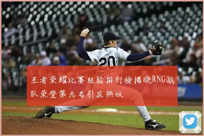 王者荣耀比赛经验排行榜揭晓RNG战队荣登第九名引发热议
